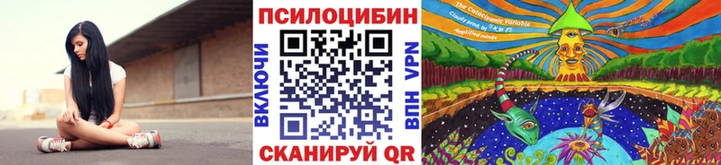 MEGA онион  Жуковка  Галлюциногенные грибы мицелий  наркошоп 